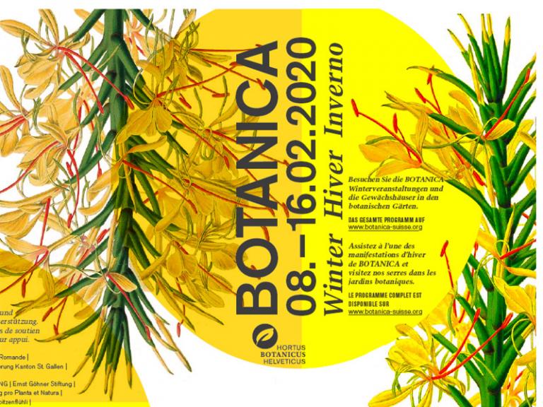 Botanica