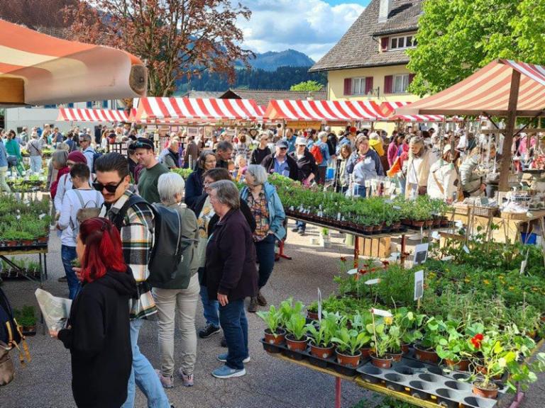Entlebucher Kräuter- und Wildpflanzenmarkt