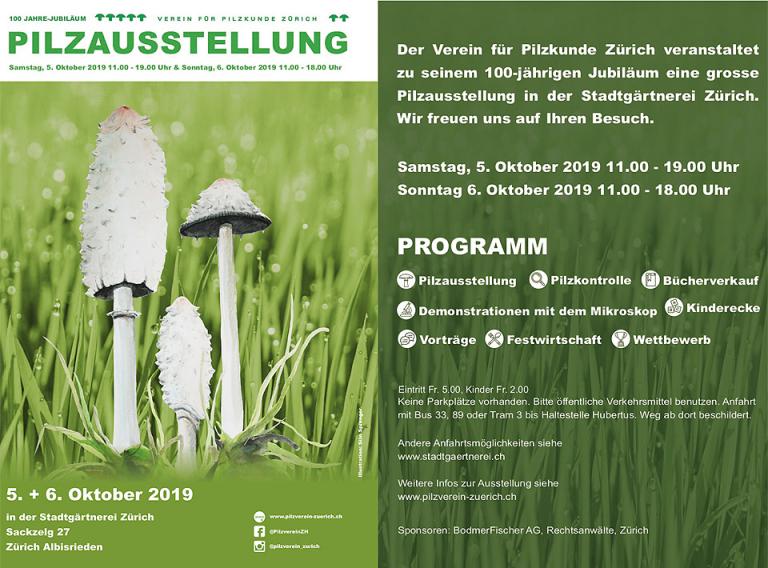 Pilzaustellung