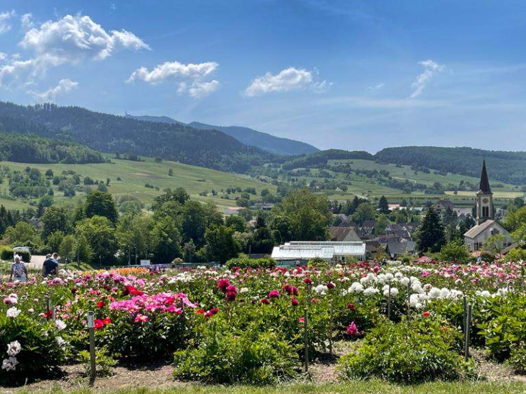 Gartenfest: Samstag und Sonntag, 17. und 18. Mai 2025