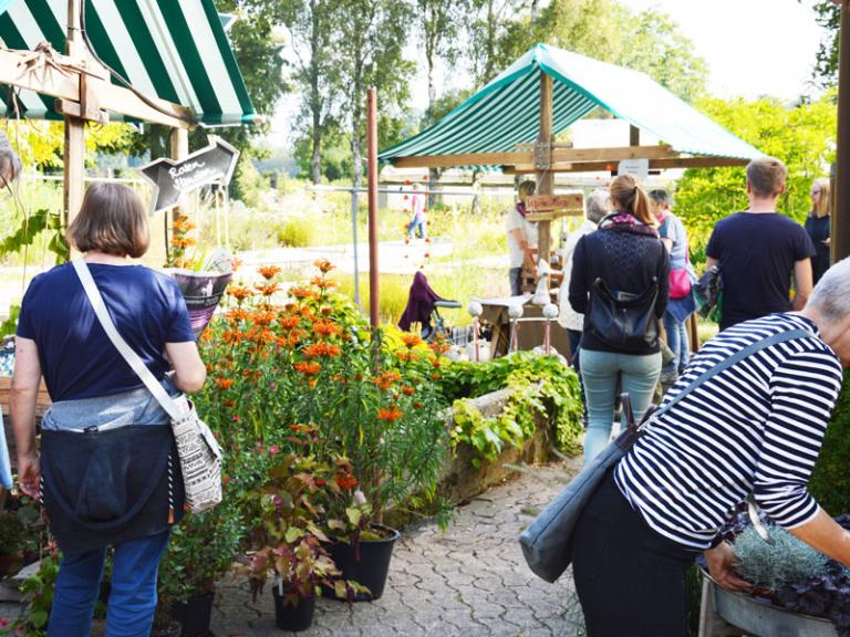 herbstmarkt, Pflanzenmarkt, Staudengärtnerei