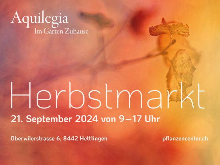 Herbstmarkt Aquilegia