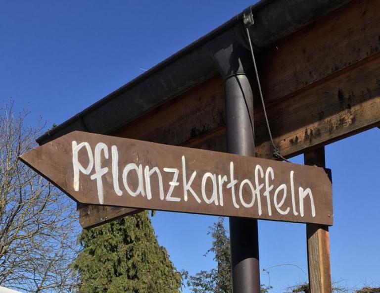 Pflanzkartoffelmärit auf dem Berchtoldshof