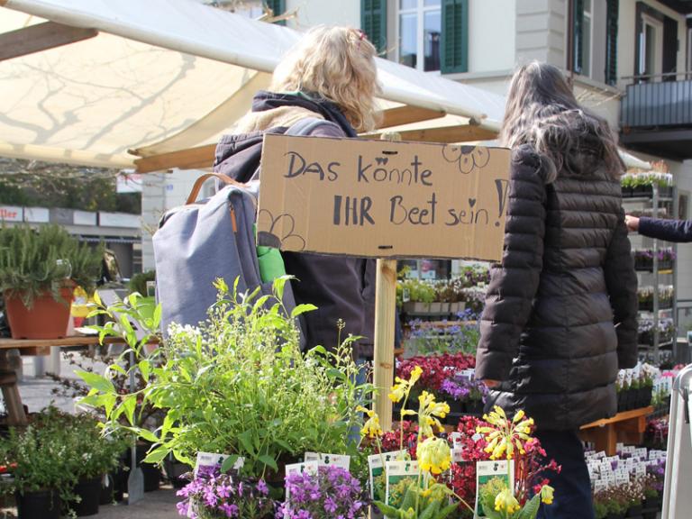 Pflanzenmarkt Weinfelden