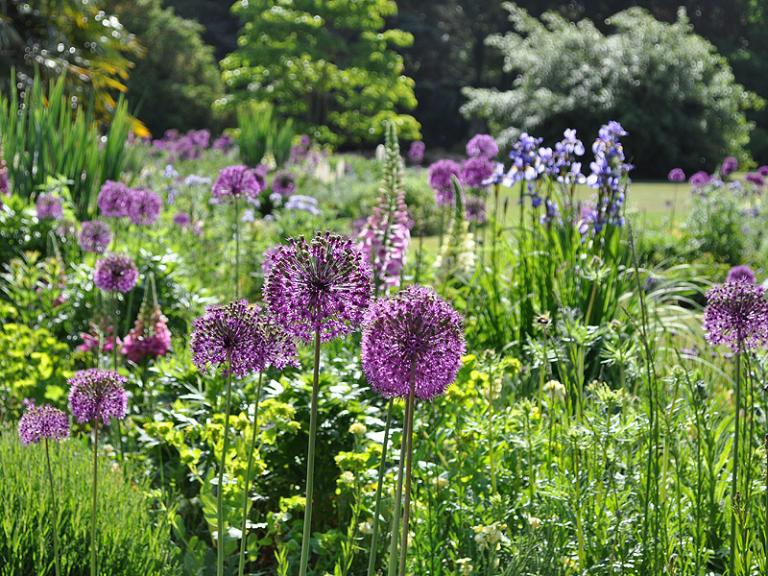 Bild: Cambridge University Botanic Garden - Bee borders