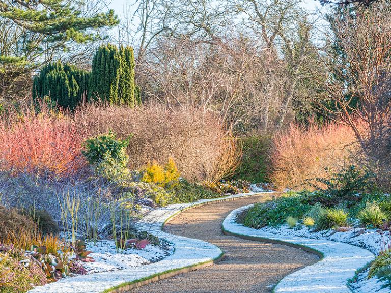 Bild: Cambridge University Botanic Garden - Winter garden