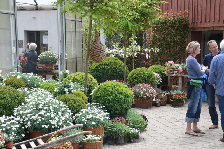 Baumschule / Pflanzencenter Todt AG