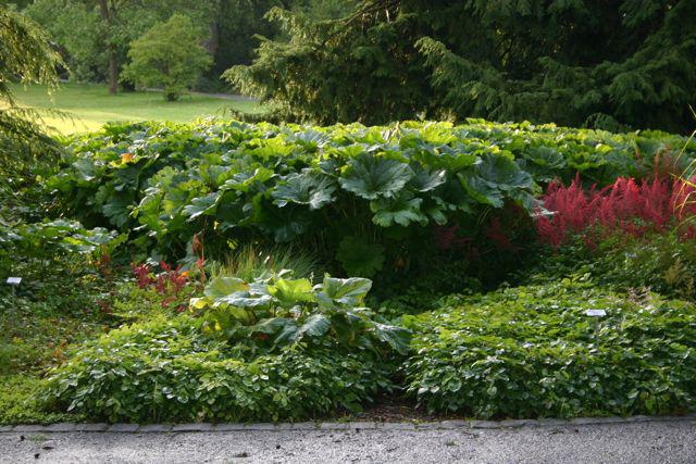 Kantonale Gartenbauschule Oeschberg