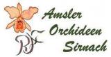 Orchideen Amsler 