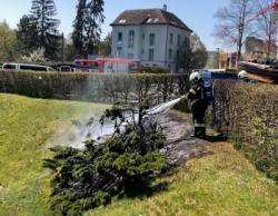 Die Feuerwehr Bischofszell konnte den Brand rasch löschen. (Bild: Kapo TG)