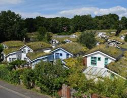 Foto: GPP/BuGG Begrünte Dächer sehen schön aus und leisten einen Beitrag zu einem angenehmen Stadtklima