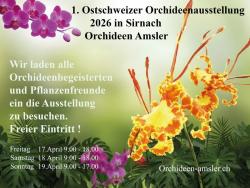 Ostschweizer Orchideenausstellung – Orchideen Amsler