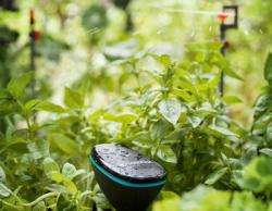 Bild Gardena: Smartgarden Feuchtigkeitssensor mit Bewässerung