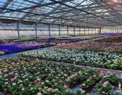 Bild: JardinSuisse