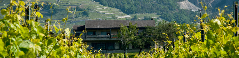 Photo Leytron (Etat du Valais, Didier Carré)